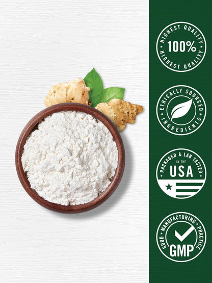 Carlyle Probiotic and Prebiotic Powder | 20 Billion CFU | 4.76 oz | Organic Fiber Blend | for Women and Men | Vegetarian, Non-GMO, - Maple Wellness Supplements