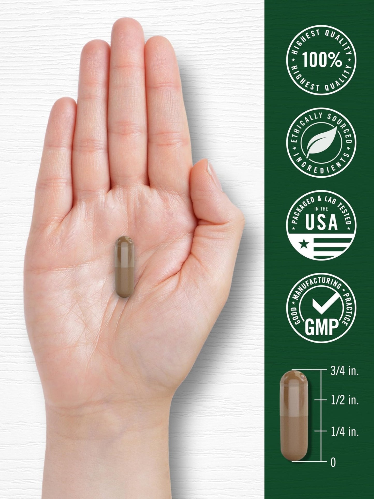 Carlyle Valerian Root Capsules | 240 Count | Herb Extract Supplement | Non-GMO, Gluten Free - Maple Wellness Supplements