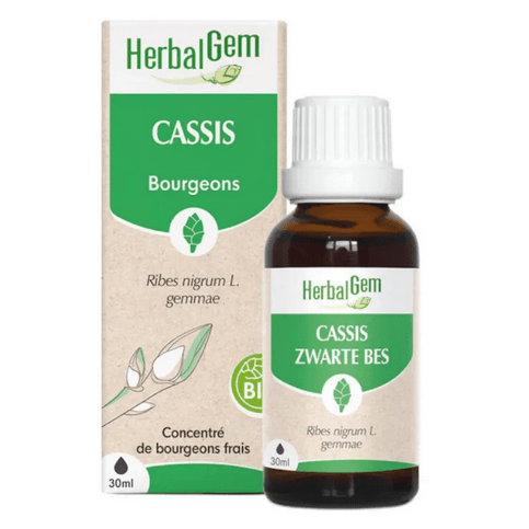 Cassis BIO Macérat mère Bourgeons 30 ml HERBALGEM - Maple Wellness Supplements