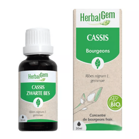 Cassis BIO Macérat mère Bourgeons Flacon 30 ml HERBALGEM - Maple Wellness Supplements