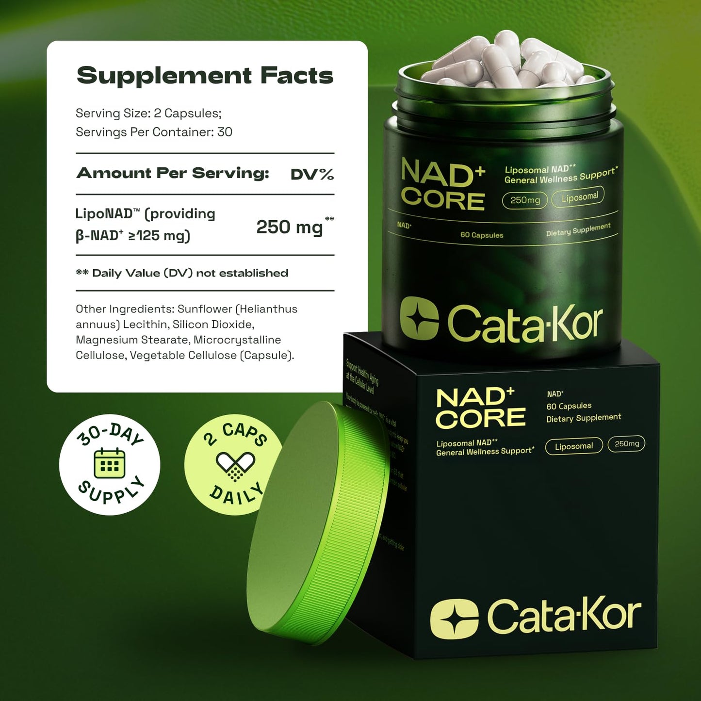 Cata-Kor NMN Supplement Alternative – Liposomal NAD+ Supplement – Third-Party Tested – NAD CORE – 30-Day Supply – 60 Capsules - Maple Wellness Supplements