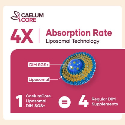 CEALMU CORE Liposomal DIM SGS Supplement - Estrogen Supplements for Women & Men Contains Sulforaphane Glucosinolate, Vitamin E, Pomegranate Fruit - Support Detox and Antioxidant (1 Pack) - Maple Wellness Supplements