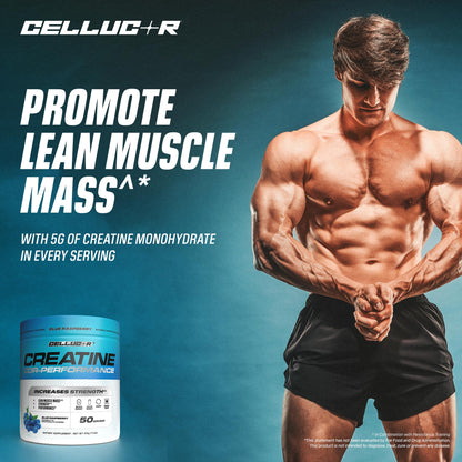Cellucor Creatine Powder, Blue Raspberry Flavor - Increases Strength, Lean Muscle Mass & Endurance, Micronized Creatine for Fast Absorption - Maple Wellness Supplements