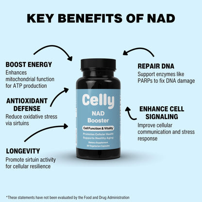 Celly NAD Booster | Longevity Supplement for Healthy Aging with NR (Nicotinamide Riboside) and Nicotinamide | Promotes Cell Function & Vitality | Non-GMO & 3rd Party Tested - Maple Wellness Supplements