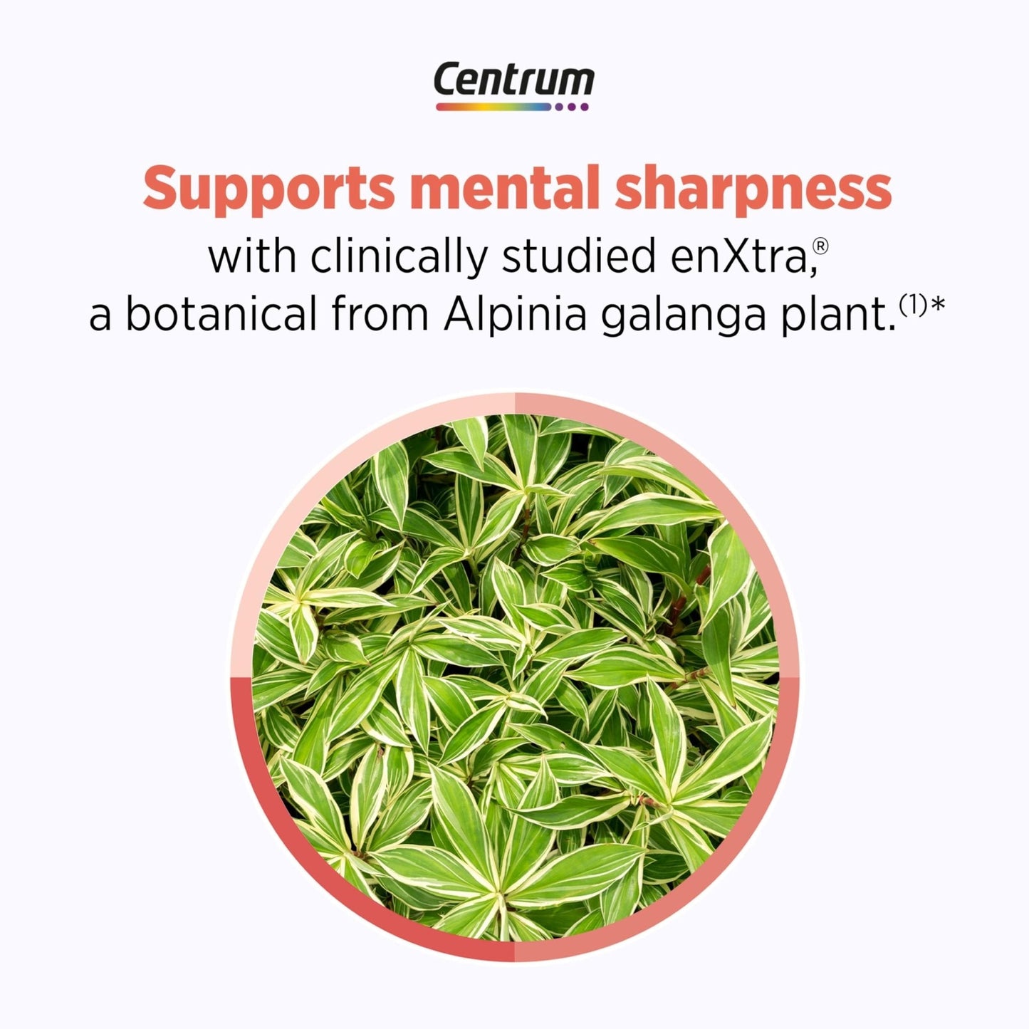 Centrum Clear Mind and Calm Mood Menopause Support Tablets, with Clinically Studied enXtra, 30 Count - Maple Wellness Supplements