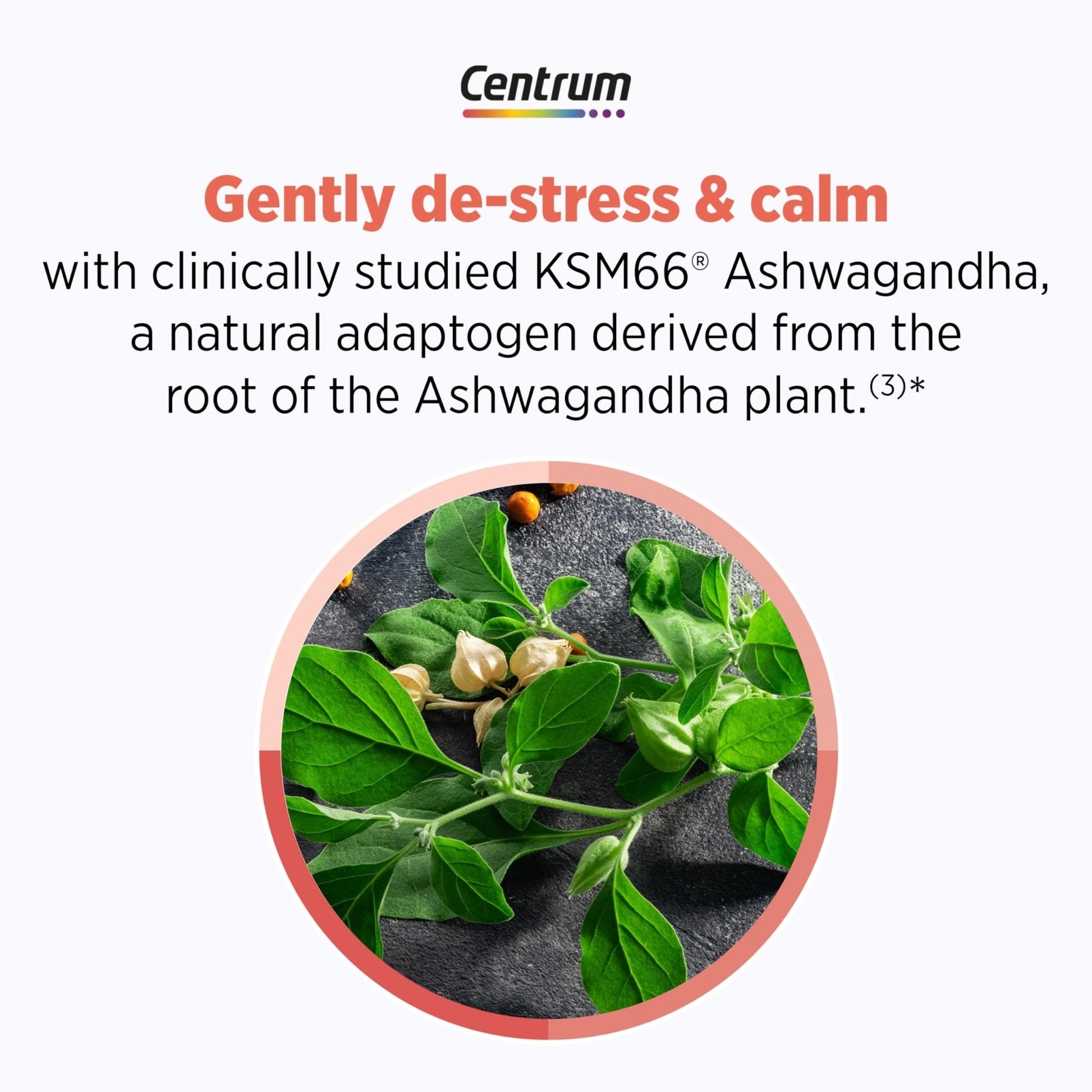 Centrum Clear Mind and Calm Mood Menopause Support Tablets, with Clinically Studied enXtra, 30 Count - Maple Wellness Supplements