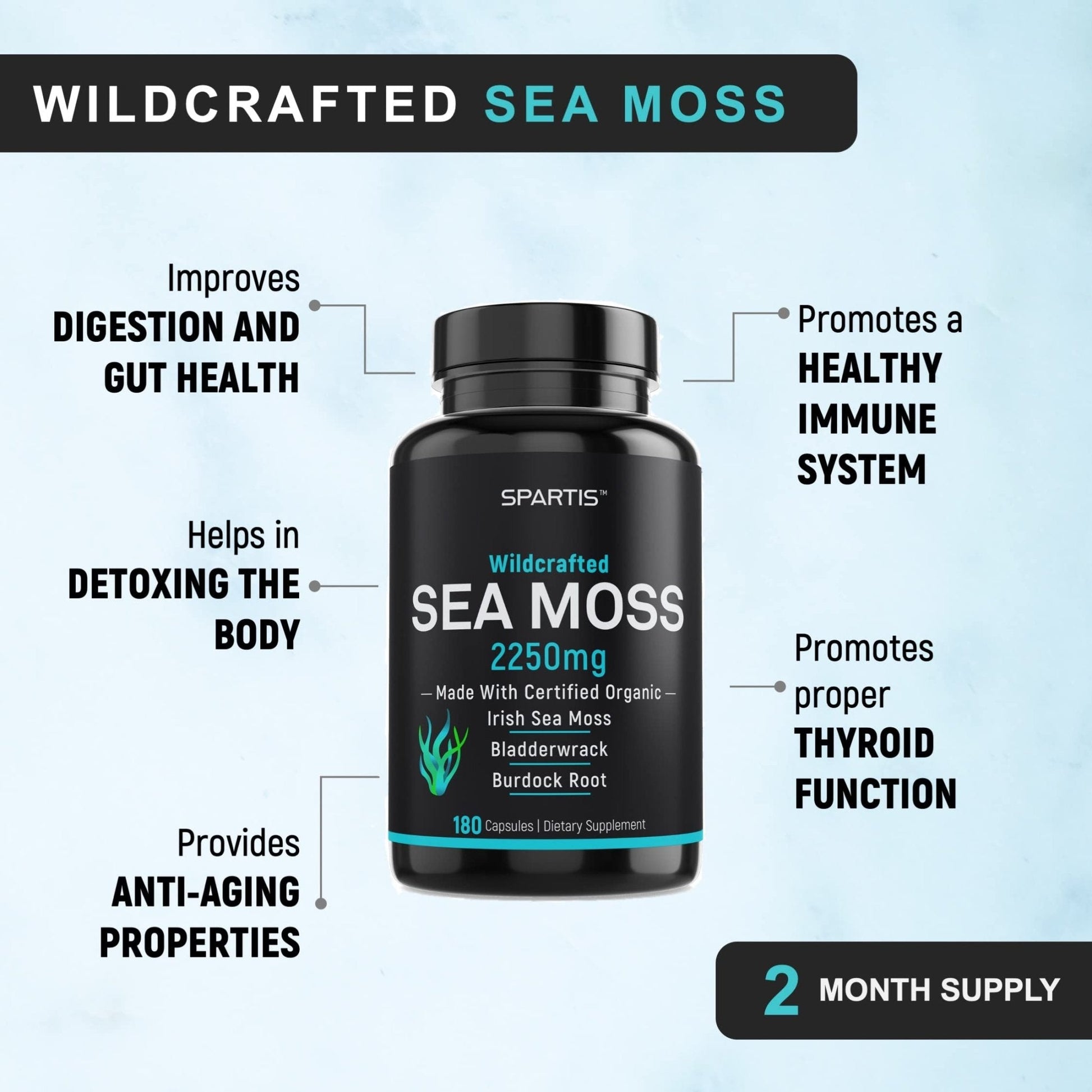 Certified Organic Sea Moss Capsules 2250mg Wildcrafted Irish Sea Moss Burdock Root - Maple Wellness Supplements