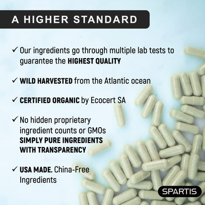 Certified Organic Sea Moss Capsules 2250mg Wildcrafted Irish Sea Moss Burdock Root - Maple Wellness Supplements
