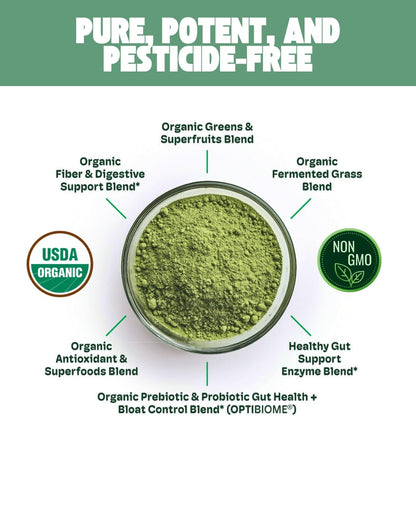 Cheerific Crisp Apple Greens Superfood Powder - 20+ Organic Superfoods + Prebiotic & Probiotics + More - Keto Friendly - Supports Positive Mood, Gut Health - Vegan, Gluten Free, Non-GMO - 30 Day - Maple Wellness Supplements