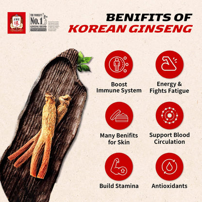 CheongKwanJang Ginseng Korean Red Ginseng Vital Tonic, Immune System Booster - Maple Wellness Supplements