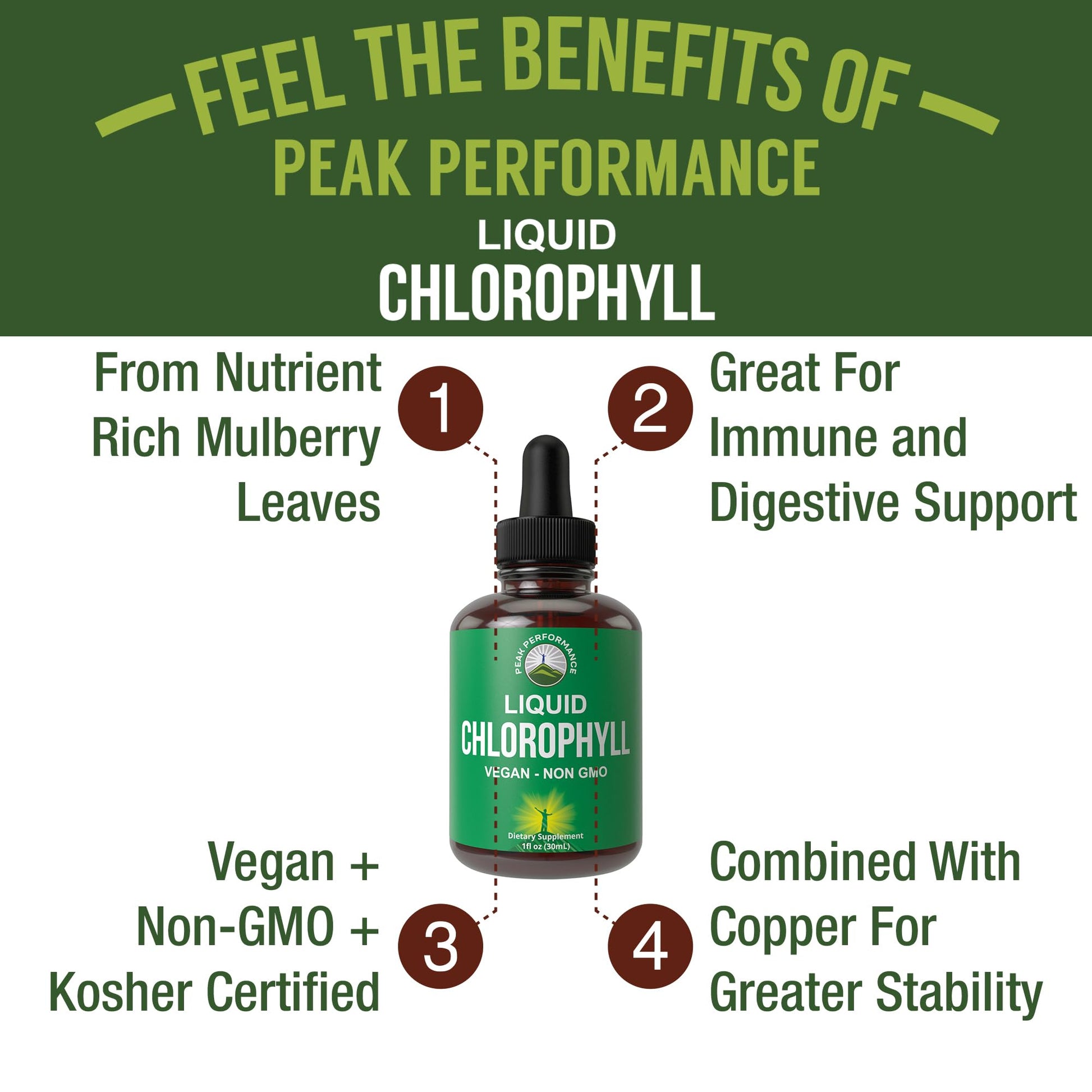 Chlorophyll Liquid Drops - Ultra High Purity, Alcohol Free, Non-GMO, Gluten Free Liquid Chlorophyll Drops Supplement. Take with Water. Internal Deodorant + Skin Care, Immune, and Digestive Support - Maple Wellness Supplements
