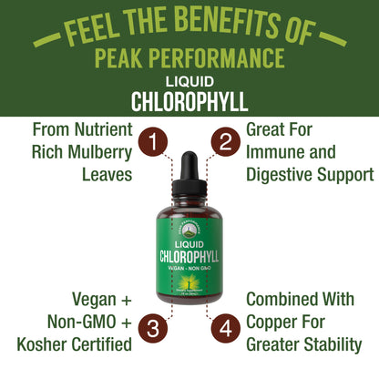 Chlorophyll Liquid Drops - Ultra High Purity, Alcohol Free, Non-GMO, Gluten Free Liquid Chlorophyll Drops Supplement. Take with Water. Internal Deodorant + Skin Care, Immune, and Digestive Support - Maple Wellness Supplements