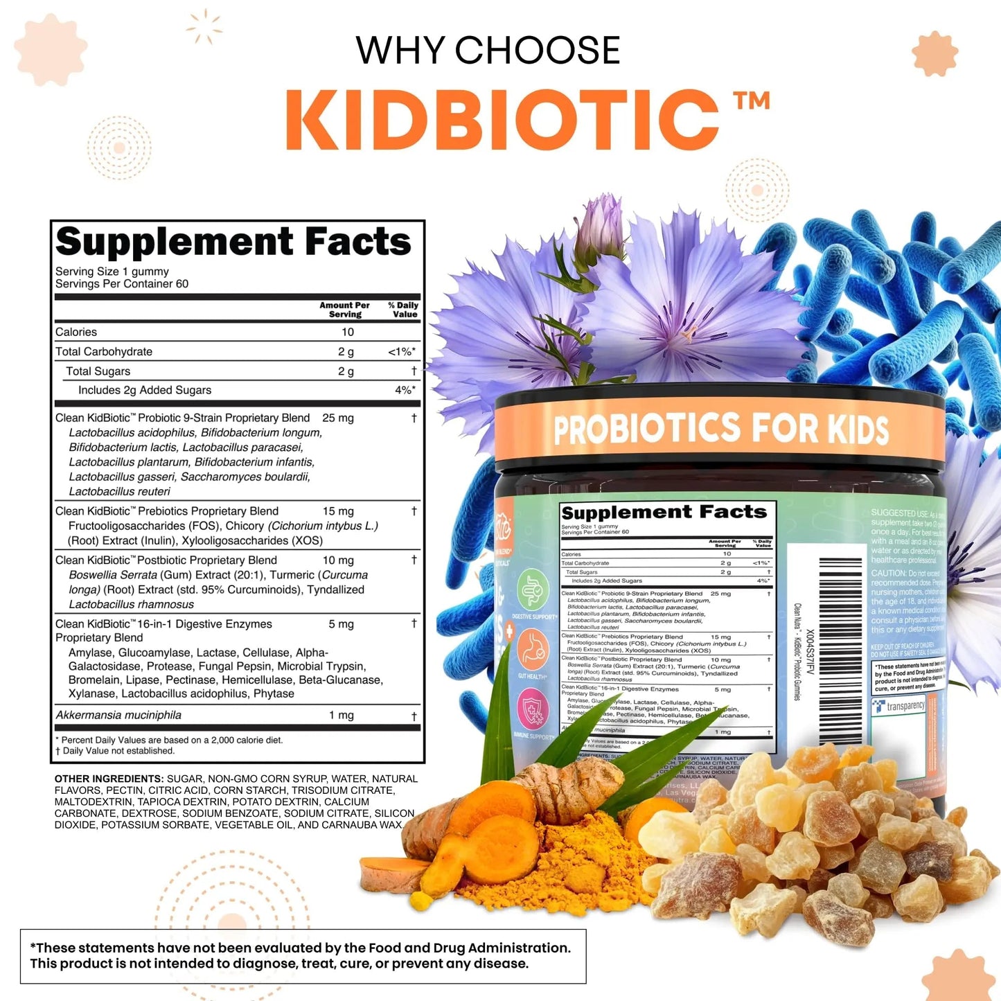 Clean Nutra Kids Probiotics Gummies with Prebiotics, Postbiotics, Digestive Enzymes, Akkermansia, Boswellia Serrata, Turmeric, Chicory – 60 Count – Plant-Based Supplement for Kids – PeachPop Flavor - Maple Wellness Supplements