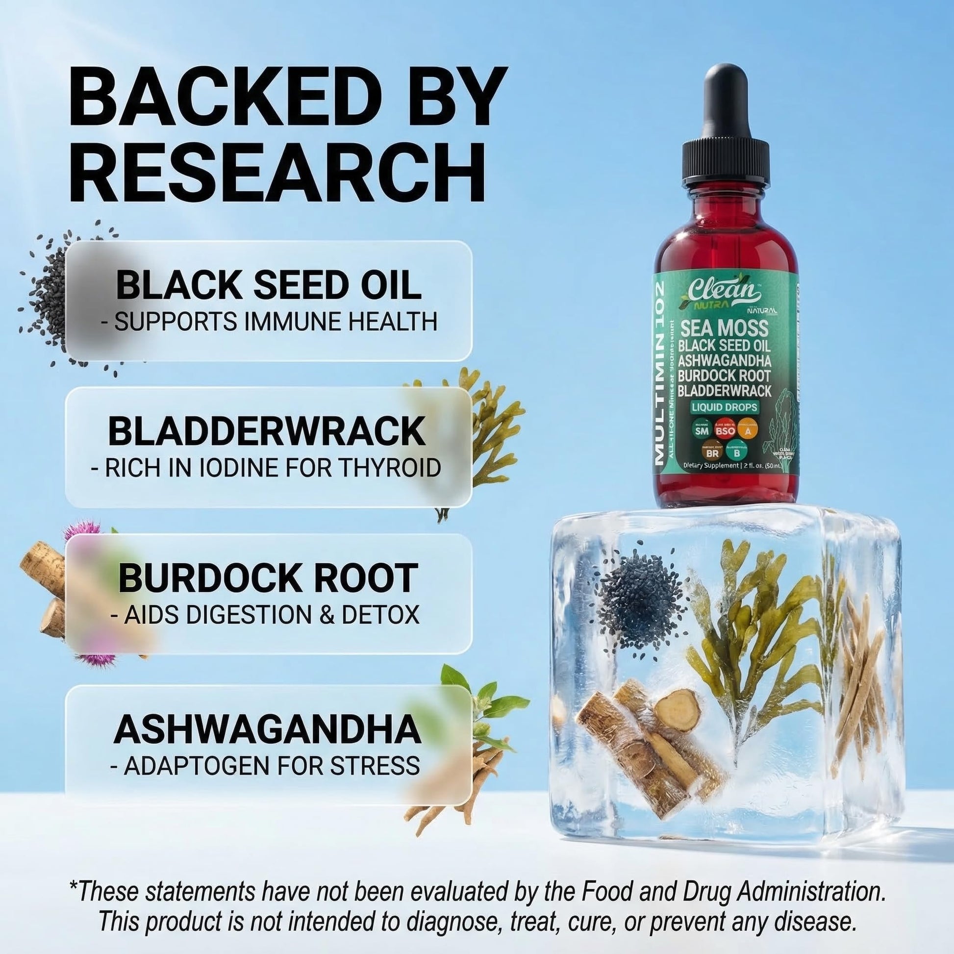 Clean Nutra Organic Sea Moss Drops Supplement | Black Seed Oil Irish Seamoss Ashwagandha Burdock Root & Bladderwrack - Multimineral Liquid Vegan - Maple Wellness Supplements