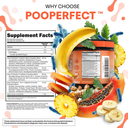 Clean Nutra Prebiotic Postbiotic Digestive Enzymes Gummies with Chicory Root, Boswellia Serrata, Turmeric, and Akkermansia | Pre+Post Probiotics Supplement - Maple Wellness Supplements