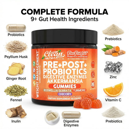 Clean Nutra Prebiotic Postbiotic Digestive Enzymes Gummies with Chicory Root, Boswellia Serrata, Turmeric, and Akkermansia | Pre+Post Probiotics Supplement - Maple Wellness Supplements