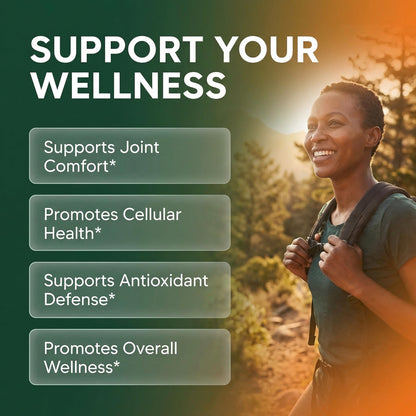 Clean Nutra Soursop Supplement Moringa Sea Moss Black Seed Oil Berberine Turmeric Resveratrol Quercetin Greens Bitters Boswellia Bitter - Maple Wellness Supplements