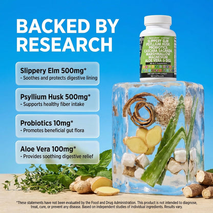 Clean Nutraceuticals Slippery Elm Psyllium Husk Pre Probiotic Digestive Gut Health Supplement with Aloe Vera Cascara Sagrada - Maple Wellness Supplements