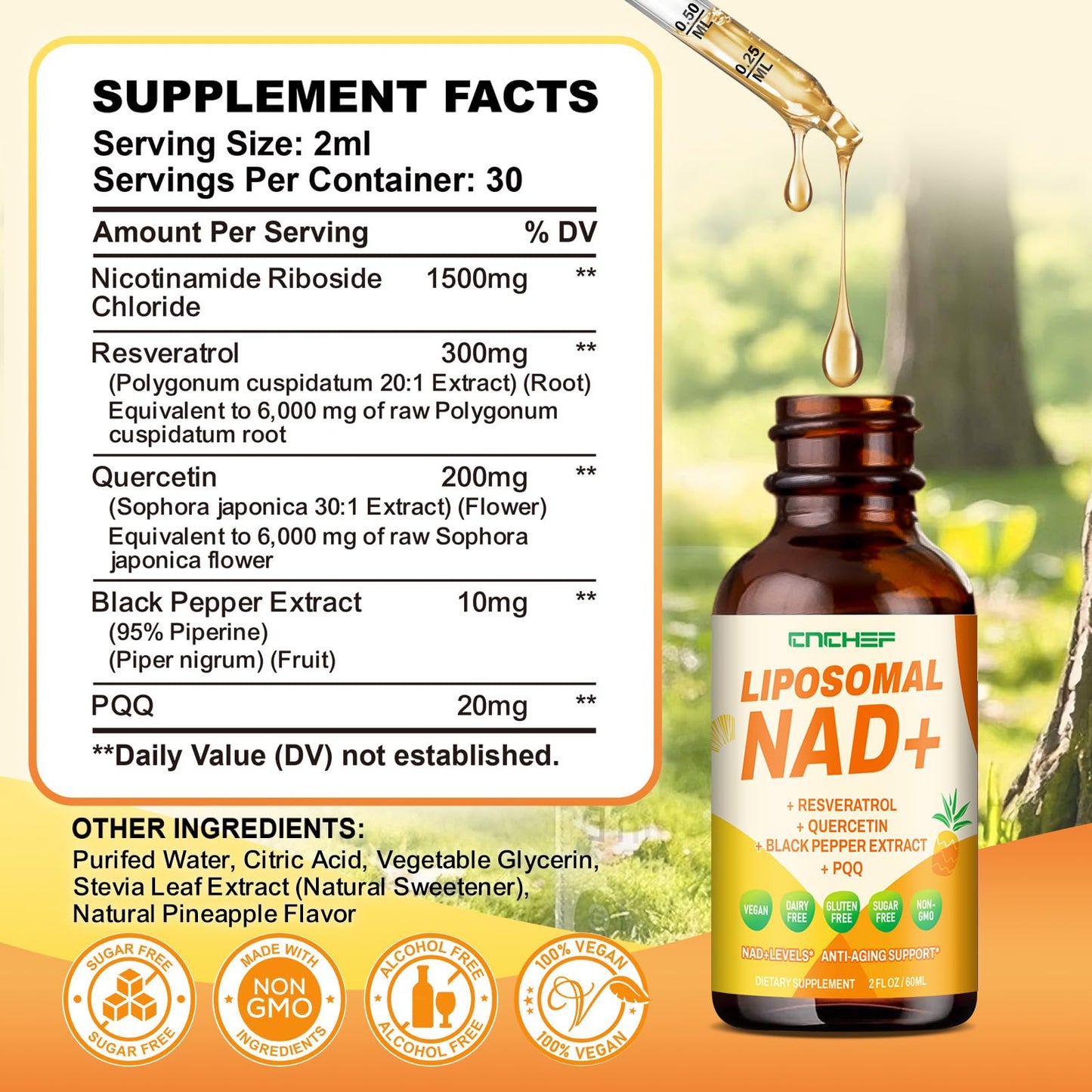 CNCHEF Liposomal NAD Supplement - 1500mg NAD+ Liquid Drop for Women & Men Nicotinamide Riboside Chloride & Resveratrol Complex - Cellular Renewal, Anti-Aging Support - 30 Servings (2 fl oz) - Maple Wellness Supplements