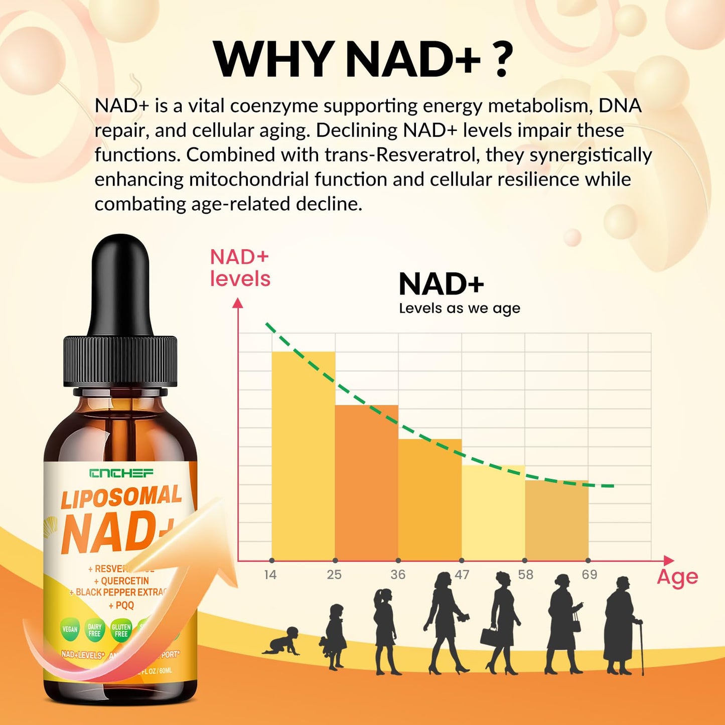 CNCHEF Liposomal NAD Supplement - 1500mg NAD+ Liquid Drop for Women & Men Nicotinamide Riboside Chloride & Resveratrol Complex - Cellular Renewal, Anti-Aging Support - 30 Servings (2 fl oz) - Maple Wellness Supplements