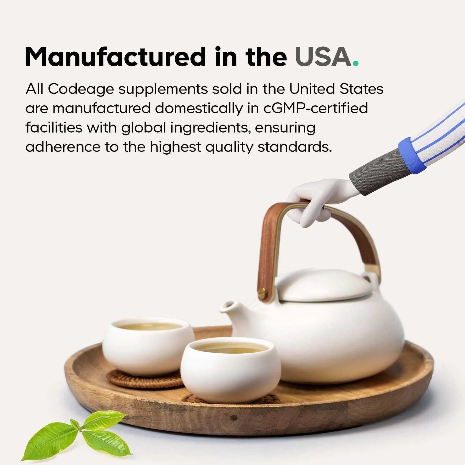 Codeage GLP-1 Probiotic+ - Live Probiotics Akkermansia, Clostridium, Bifidobacterium, Chicory Inulin Probiotic, Prebiotics & Postbiotics Supplement - 500 Million AFU - 30 Capsules - Maple Wellness Supplements