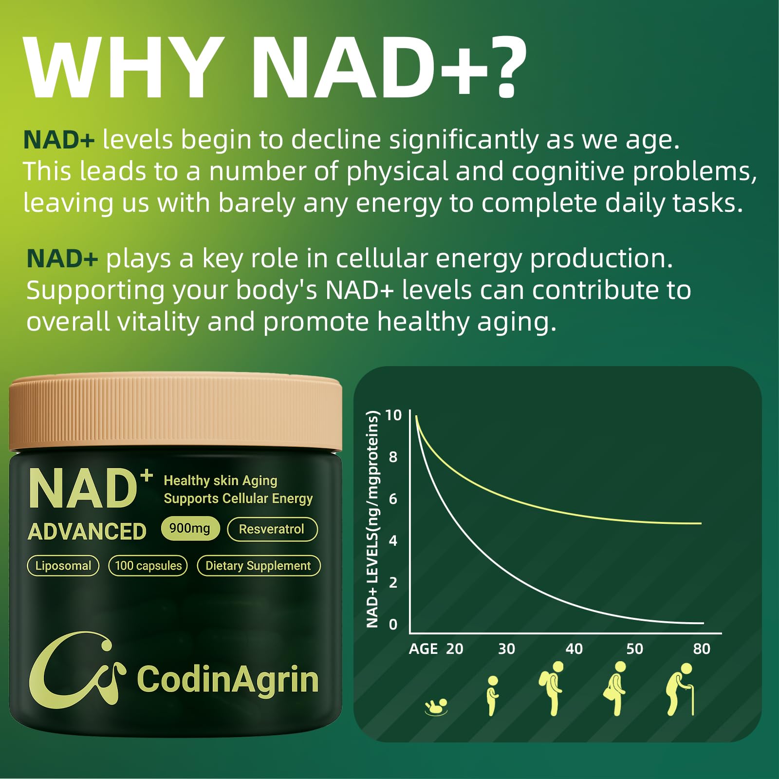 CodinAgrin NAD+ Supplement with Resveratrol 900mg Nicotinamide Adenine Dinucleotide Complex for Cellular Energy Repair, Anti-Aging & Mental Clarity Support, Non-GMO, Vegetarian Friendly, 100 Capsules - Maple Wellness Supplements