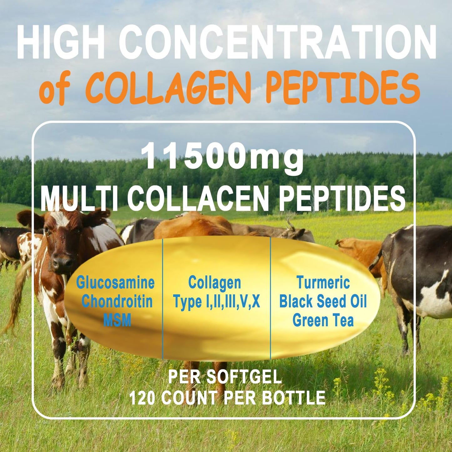 Collagen Peptides Softgels, Multi Collagen Peptide w/ Glucosamine Chondroitin MSM Biotin, Hydrolyzed Collagen Peptides Complex for Women Supports Skin Hair - Maple Wellness Supplements
