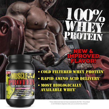 COLOSSAL LABS Whey Protein Powder [15 lbs/Pack of 1]– Chocolate Protein, Cold Filtered - Maple Wellness Supplements