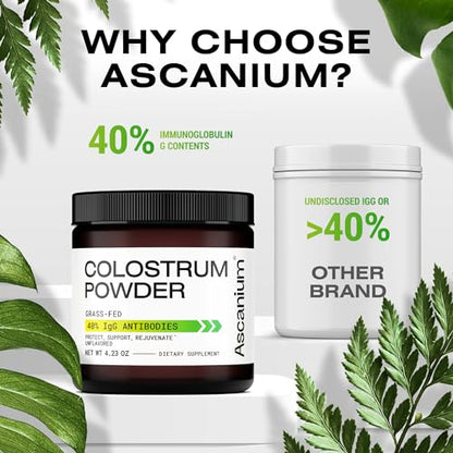 Colostrum Powder - Grass-Fed 40% IgG Colostrum Supplement Powder - Bovine - Maple Wellness Supplements