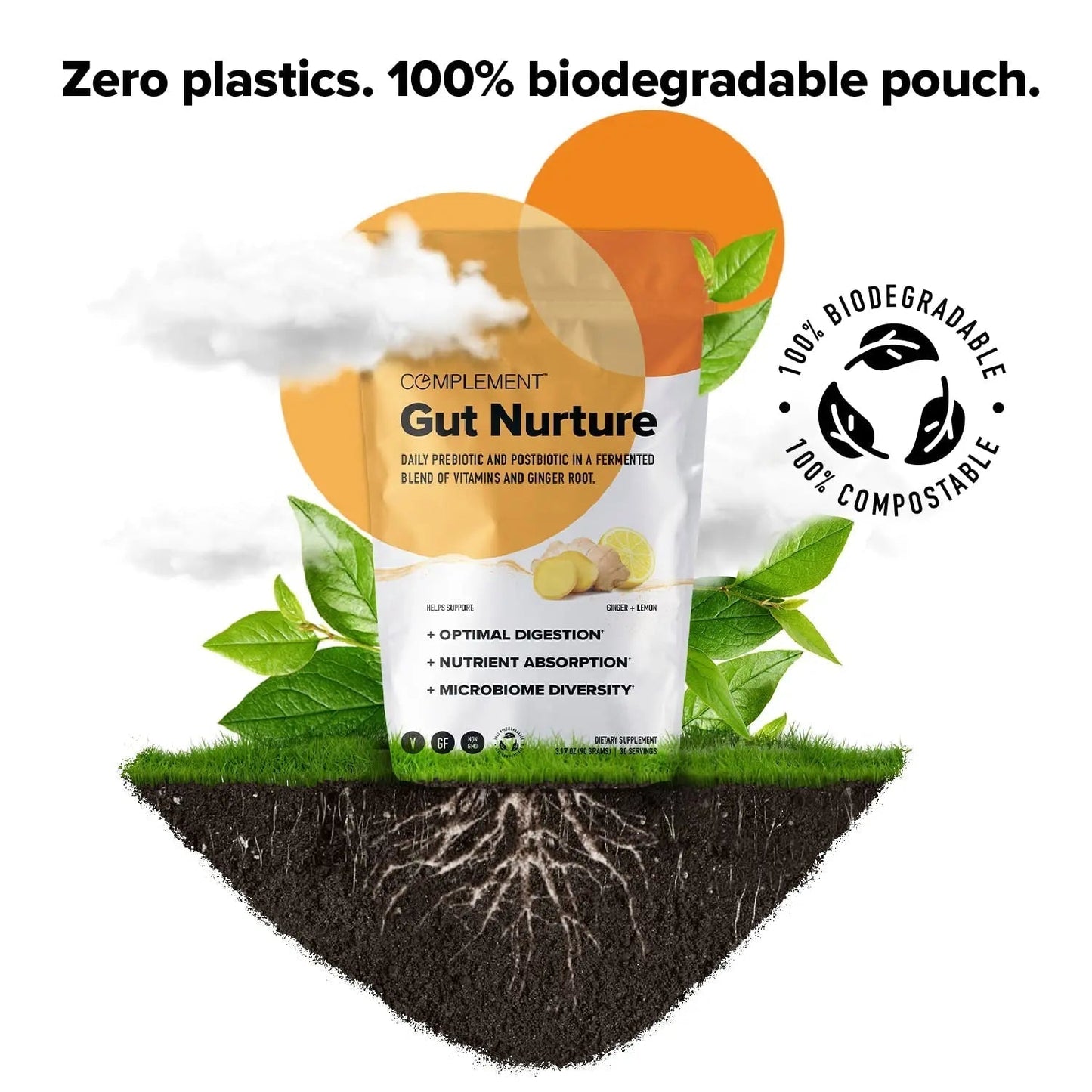 Complement Gut Nurture Prebiotic + Postbiotic Superfood Powder for Leaky Gut Repair, Probiotics for Digestive Health - Ginger Root - 30 Servings - Maple Wellness Supplements