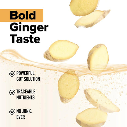 Complement Gut Nurture Prebiotic + Postbiotic Superfood Powder for Leaky Gut Repair, Probiotics for Digestive Health - Ginger Root - 30 Servings - Maple Wellness Supplements