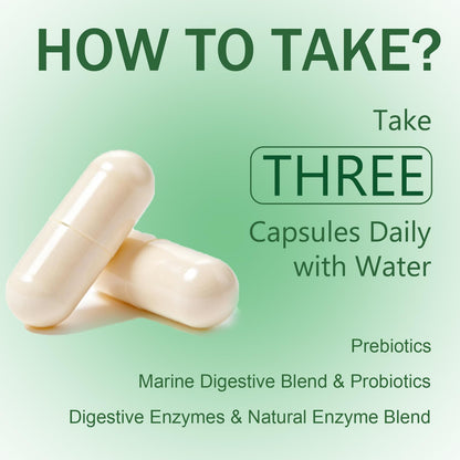 Complete Digestive Enzymes Supplement for Gut Health & Bloating Relief - Enhanced with Lipase Amylase Bromelain for Protein Carb - Maple Wellness Supplements