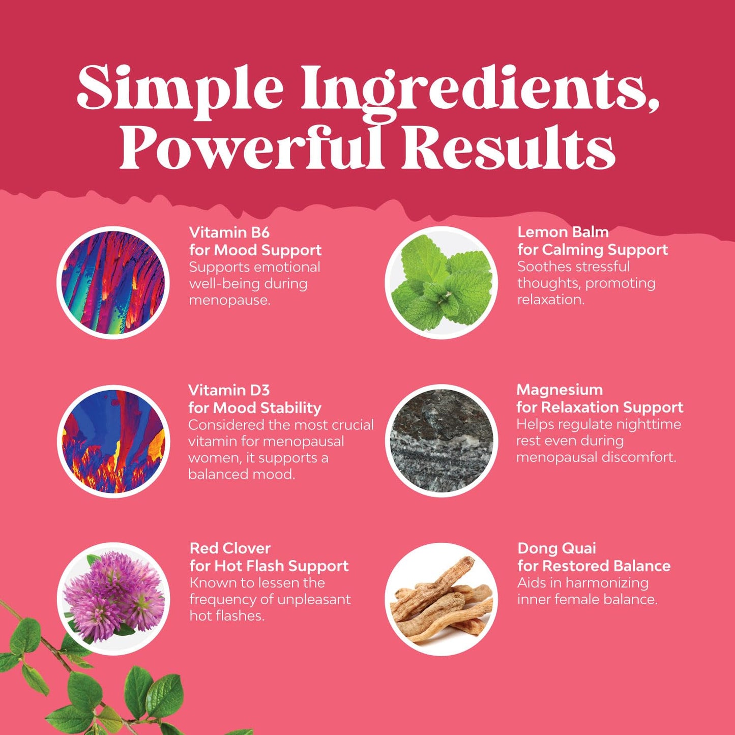 Complete Herbal Menopause Supplement for Women - Female Hormone Balance Capsules for Night Sweats Hot Flashes & Mood Swings with Dong Quai, Chaste Berry & Black Cohosh Root - 60 Count - Maple Wellness Supplements
