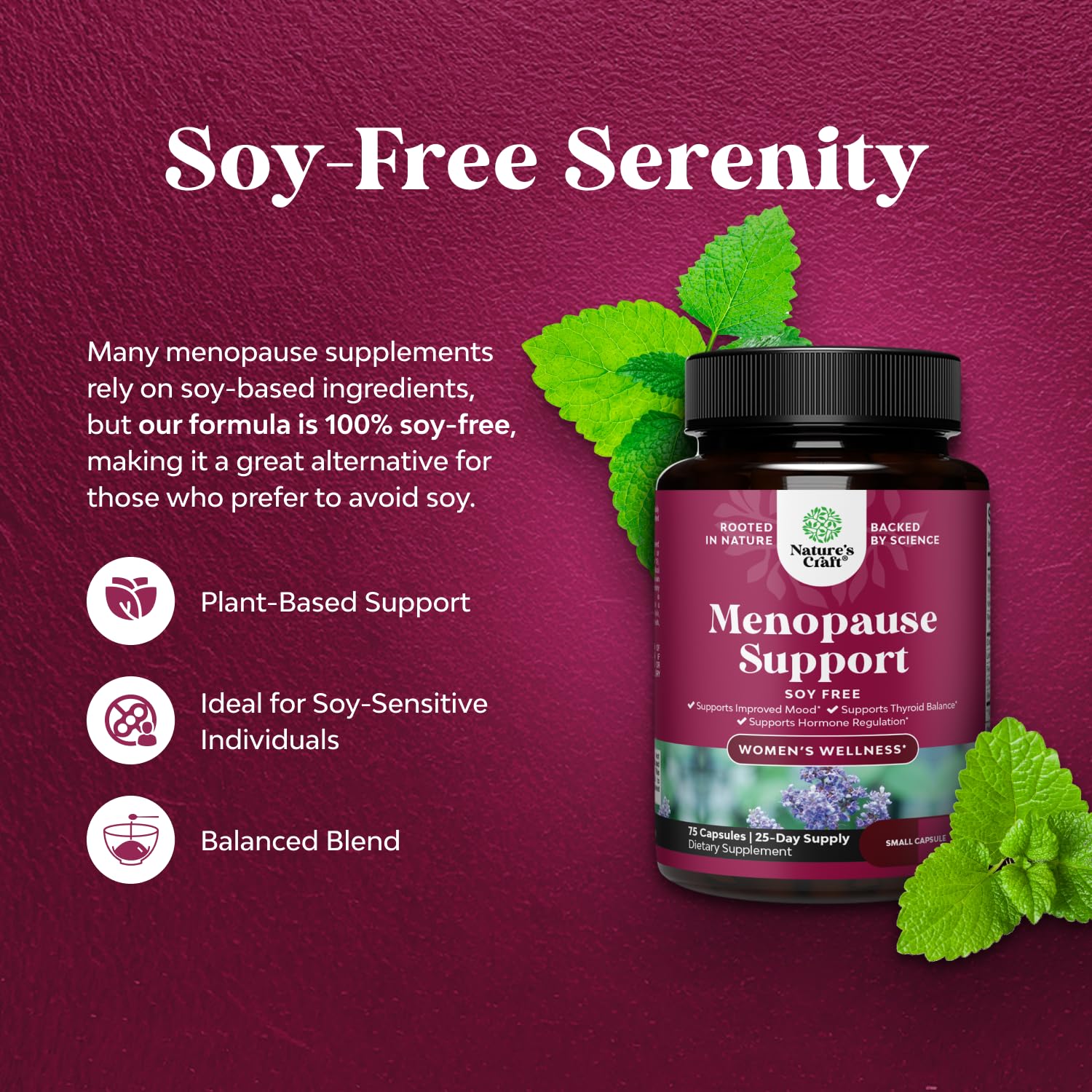 Complete Herbal Menopause Supplement for Women - Soy Free Female Hormone Balance Capsules for Night Sweats Hot Flashes & Mood Swings with Dong Quai, Chaste Berry & Black Cohosh Root - 75 Count - Maple Wellness Supplements