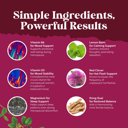 Complete Herbal Menopause Supplement for Women - Soy Free Female Hormone Balance Capsules for Night Sweats Hot Flashes & Mood Swings with Dong Quai, Chaste Berry & Black Cohosh Root - 75 Count - Maple Wellness Supplements
