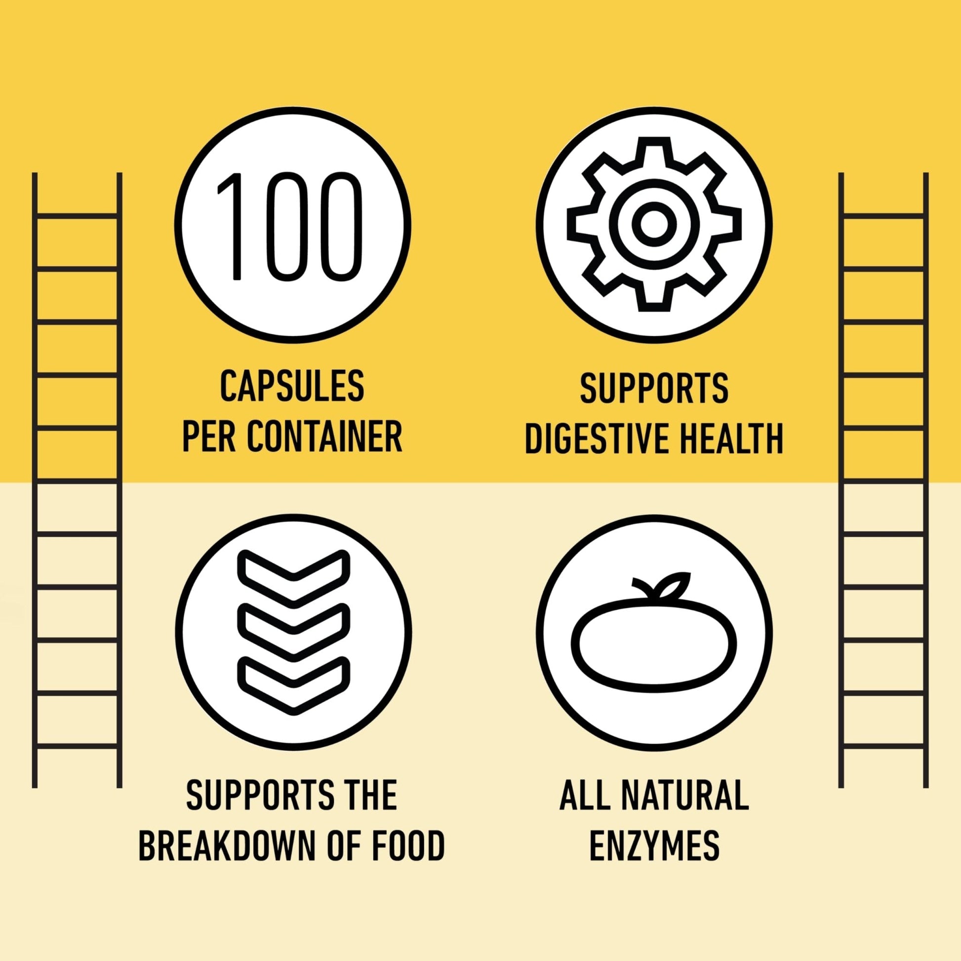 Complete Natural Products Digestive Enzyme Capsules, 550mg, 100ct | Plant-Based Formula - Maple Wellness Supplements