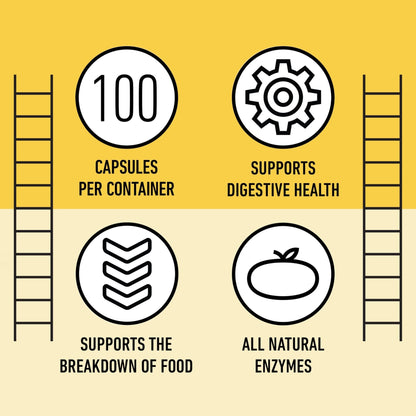 Complete Natural Products Digestive Enzyme Capsules, 550mg, 100ct | Plant-Based Formula - Maple Wellness Supplements