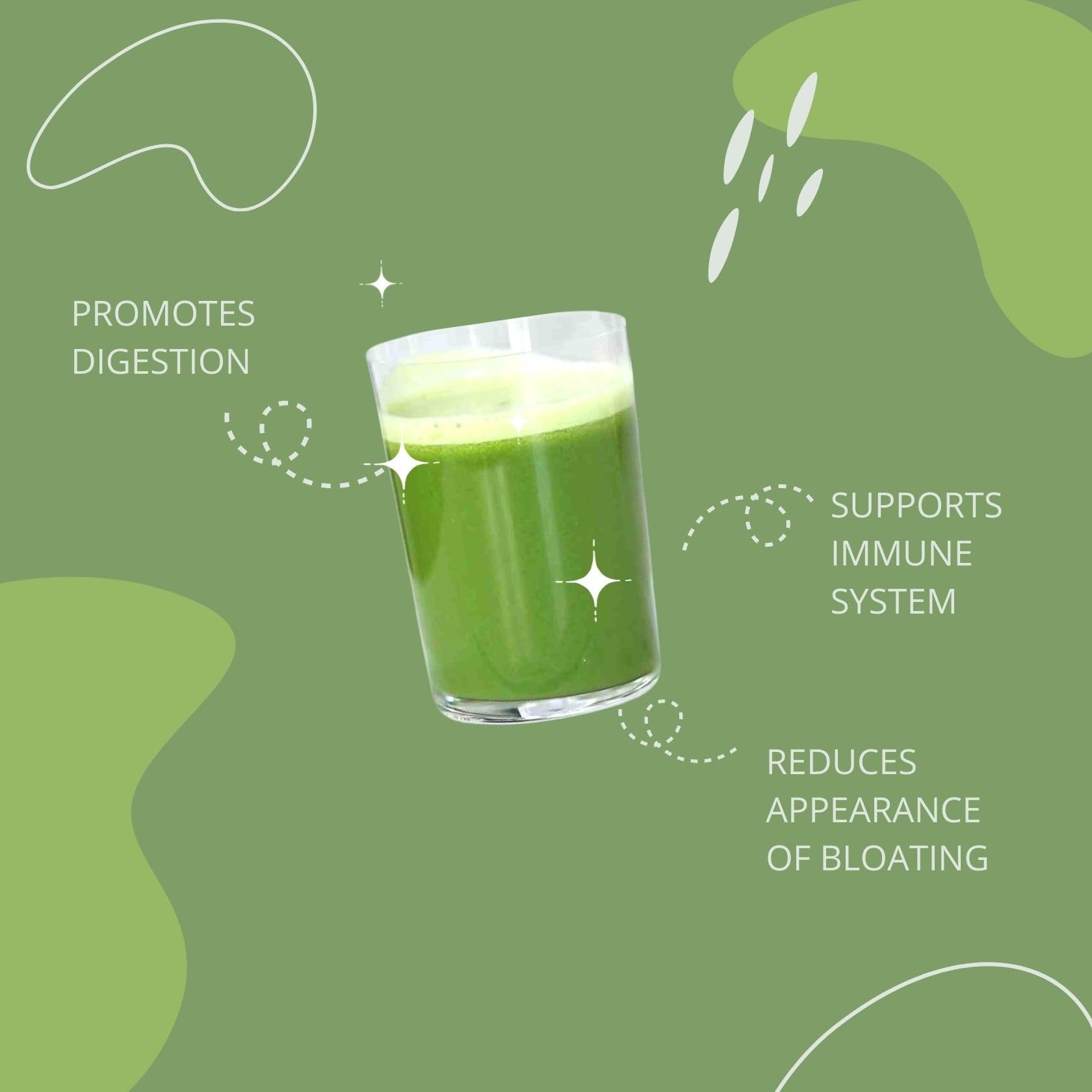 Consult Health Gut-Duction Bloat Control – Gut Health Support Superfood Formula – Plant Based Proteins - Probiotics – Powder Drink Mix – 28 Servings – 9.9 oz. - Maple Wellness Supplements