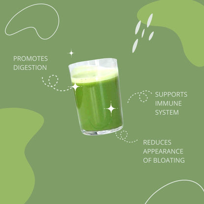Consult Health Gut-Duction Bloat Control – Gut Health Support Superfood Formula – Plant Based Proteins - Probiotics – Powder Drink Mix – 28 Servings – 9.9 oz. - Maple Wellness Supplements