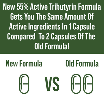 CoreBiome Tributyrin Postbiotic Supplement Clinically Tested for Gut Health. More Effective Than Sodium Butyrate Capsules. High Bioavailability Post Biotics for Digestive, Leaky Gut, Colon, Microbiome - Maple Wellness Supplements