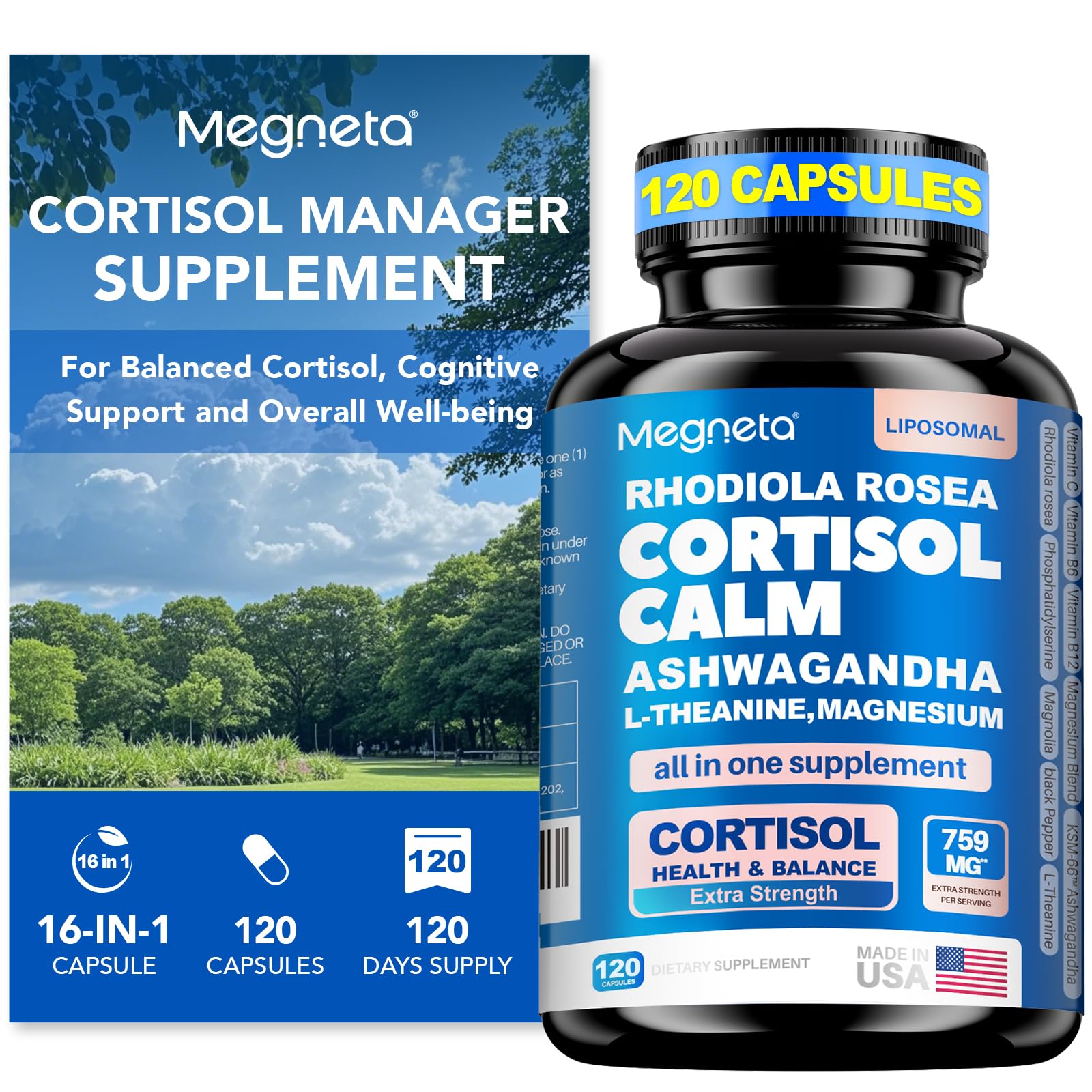 Cortisol Balance & Sleep Support for Women & Men – Natural Calm Formula with Magnesium, Ashwagandha & L-Theanine – Supports Restful Sleep, Relaxation, Focus & Healthy Cortisol Levels – 120 Capsules - Maple Wellness Supplements