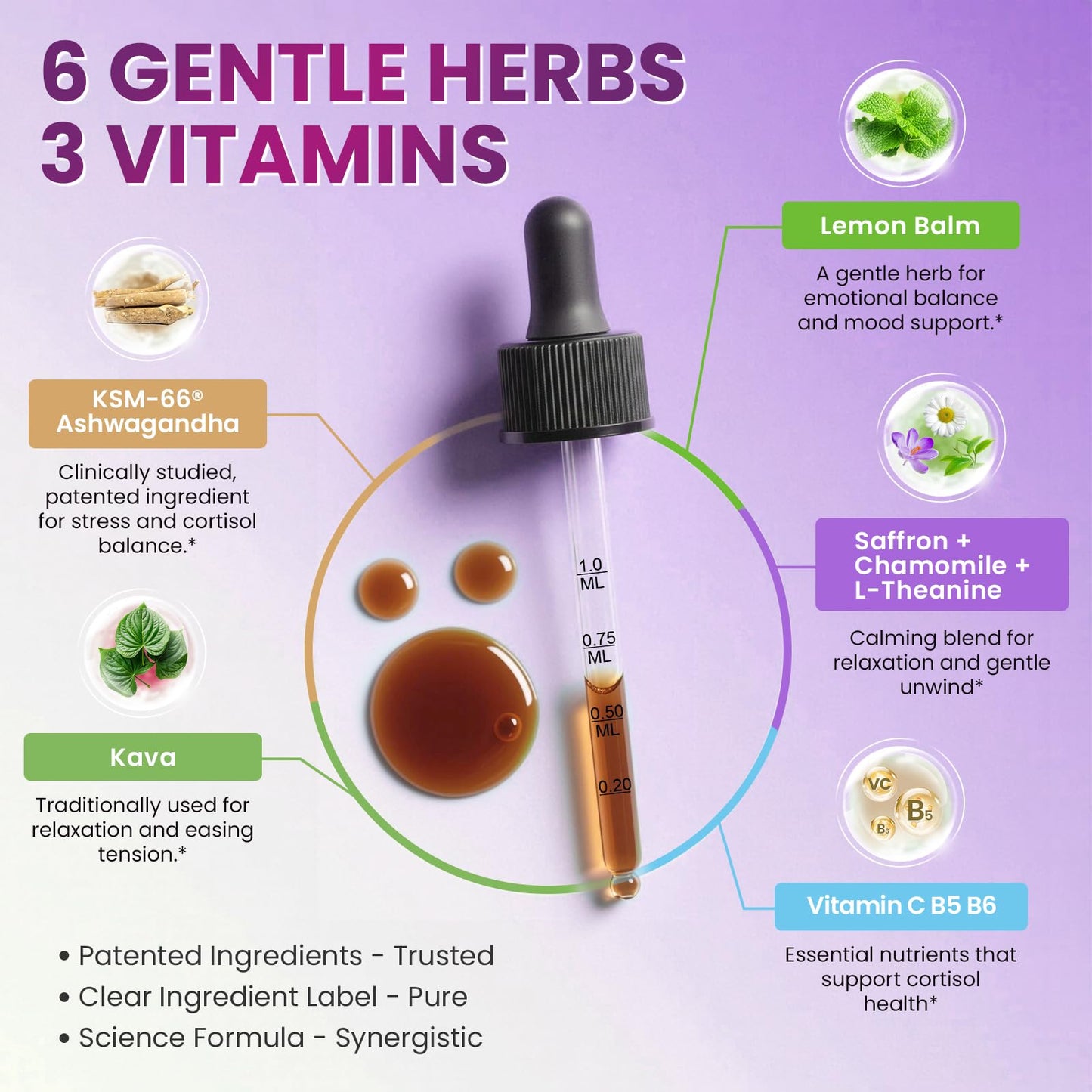 Cortisol Supplements for Women, Cortisol Reducer Manager Detox with KSM-66® Ashwagandha, Kava, Lemon Balm & Vitamin C B5 B6, Lower Cortisol, Hormone Harmony Liquid Drops, 2 FL.OZ, Blueberry Flavor - Maple Wellness Supplements