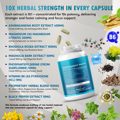 CORTISOL Wellness Ashwagandha 14-in-1 Natural Blend with Phosphatidylserine Magnolia Rhodiola St. John's Wort Peppermint Bacopa - 150 Count - Maple Wellness Supplements