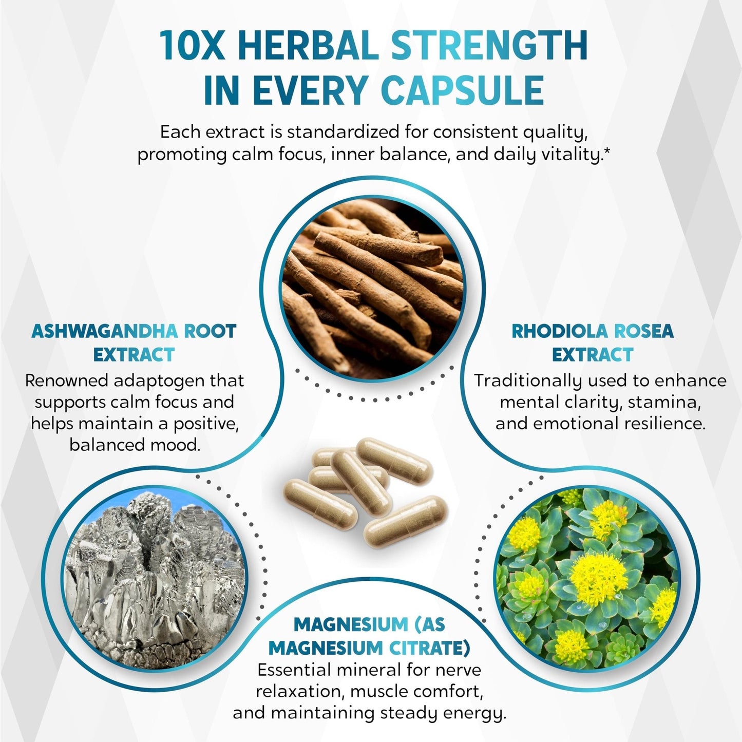 CORTISOL Wellness Ashwagandha 14-in-1 Natural Blend with Phosphatidylserine Magnolia Rhodiola St. John's Wort Peppermint Bacopa - 150 Count - Maple Wellness Supplements