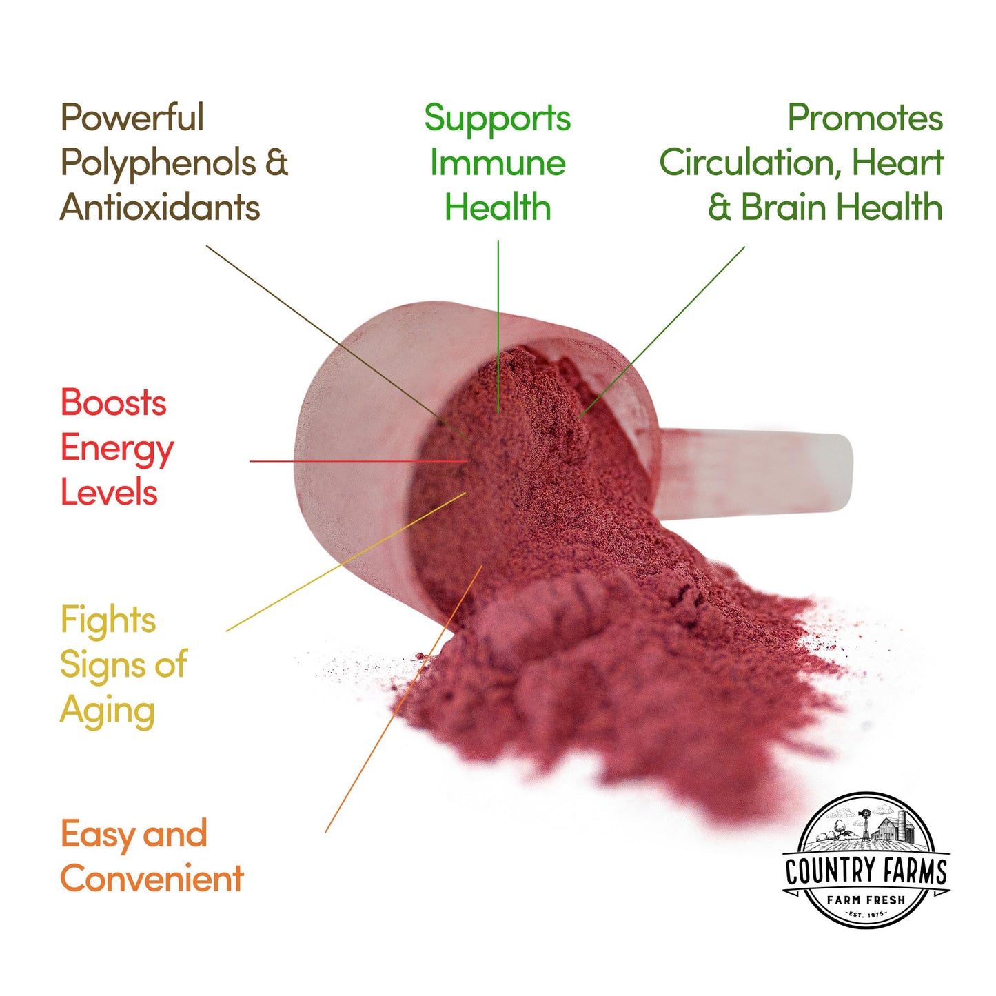 COUNTRY FARMS Super Reds, Energizing Polyphenol Superfood, Over 40 Super Fruits - Maple Wellness Supplements