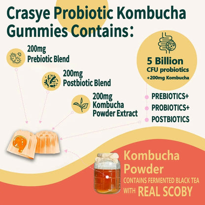 Crasye Probiotic Kombucha Gummies Sugar Free Prebiotic Postbiotic Probiotics Gummy for Women and Men Bloating Gut Health Immune and Digestive Support - 60 Gummies - 30 Servings - Maple Wellness Supplements