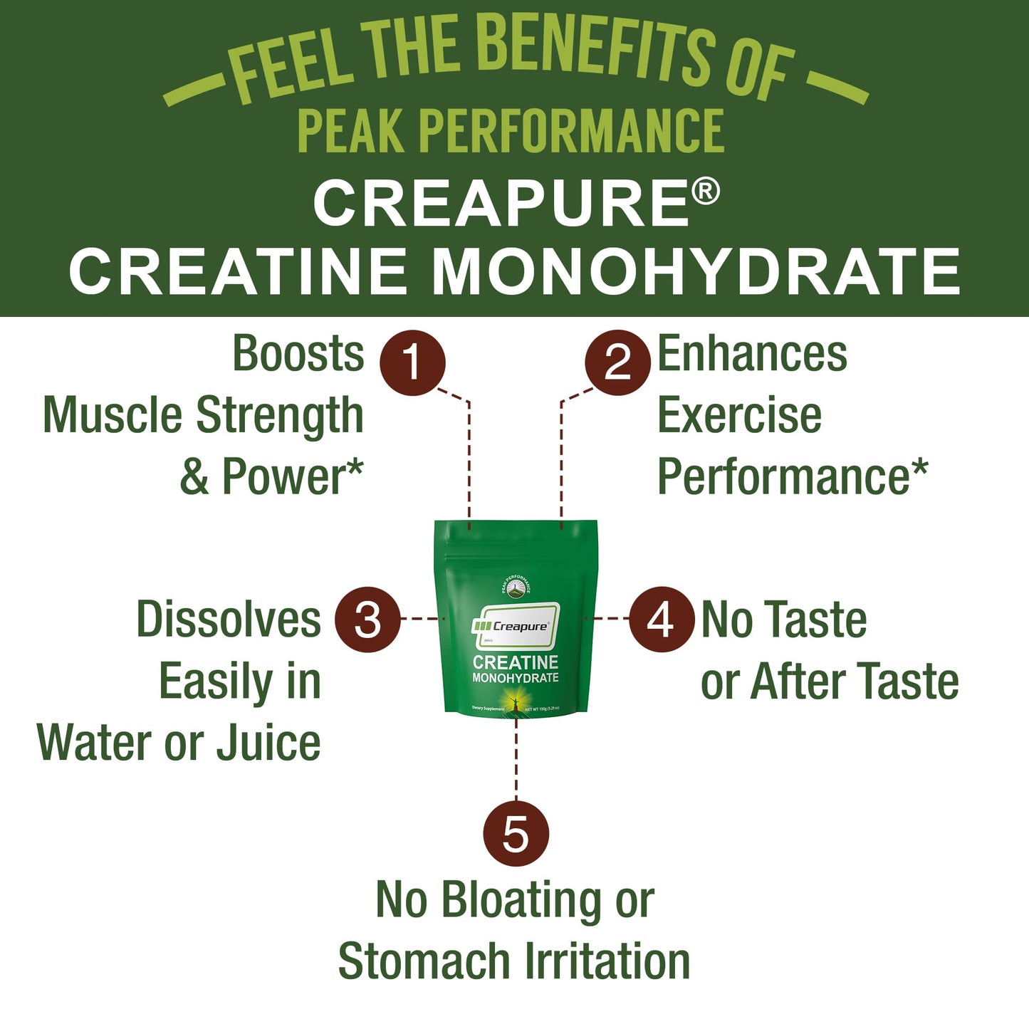 Creapure Creatine Monohydrate Powder. Ultra High Purity German Made Creatine with Nothing Else Added at All. Pure and Unflavored for Men & Women. - Maple Wellness Supplements