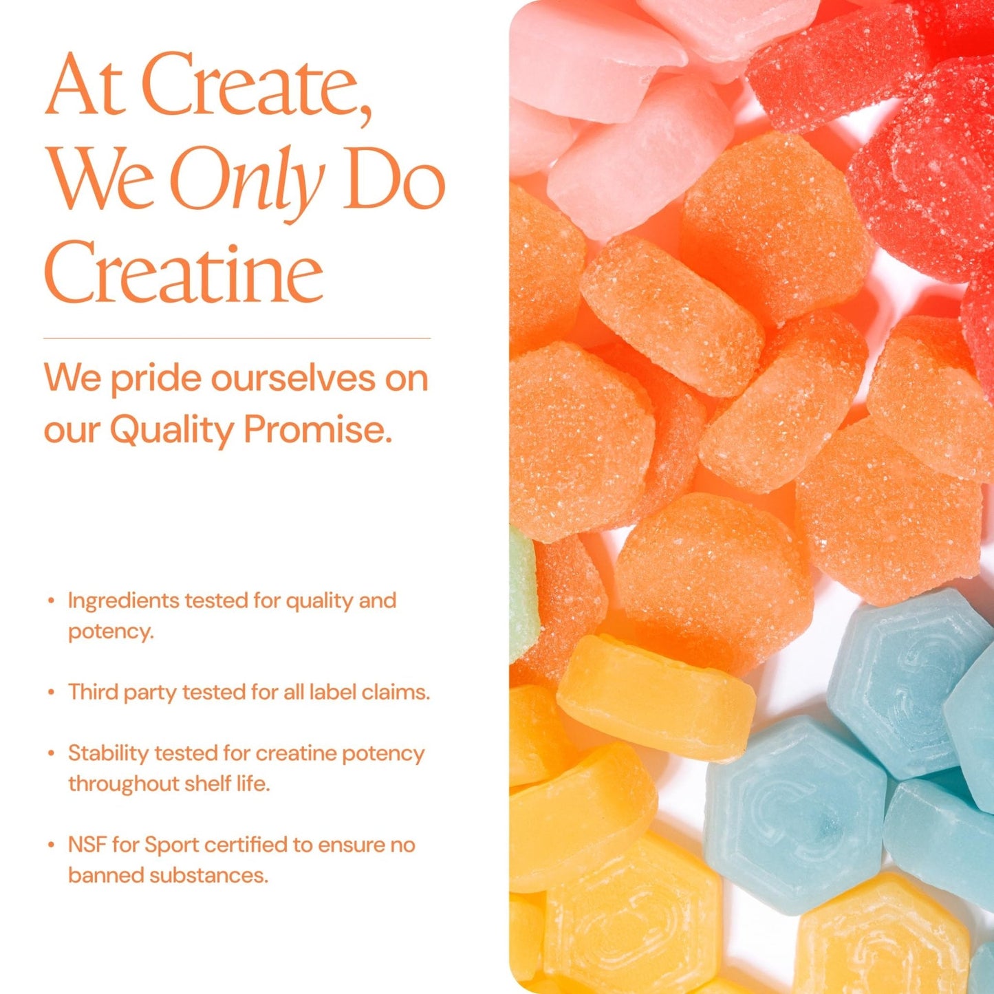 Create Creatine Gummies for Men & Women – NSF Certified, Made with Creapure Creatine Monohydrate, Great Tasting, Anti-Melting Formula, 30ct Standup Pouch, 90 Gummies (Variety Pack) - Maple Wellness Supplements