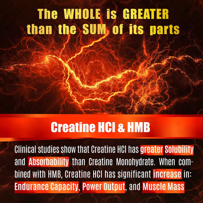 Creatine HCL Capsules with HMB - Workout Supplement for Men & Women, Muscle Builder, Endurance, Strength, Superior to Monohydrate: Instantized for Max Absorption, No Load - Maple Wellness Supplements