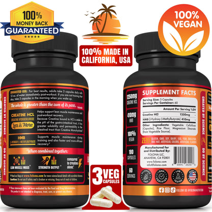 Creatine HCL Capsules with HMB - Workout Supplement for Men & Women, Muscle Builder, Endurance, Strength, Superior to Monohydrate: Instantized for Max Absorption, No Load - Maple Wellness Supplements